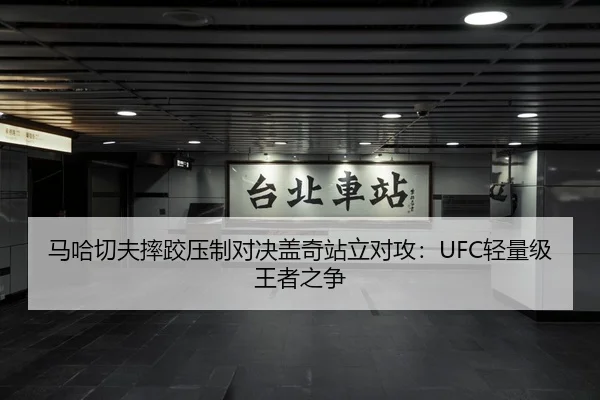 马哈切夫摔跤压制对决盖奇站立对攻：UFC轻量级王者之争