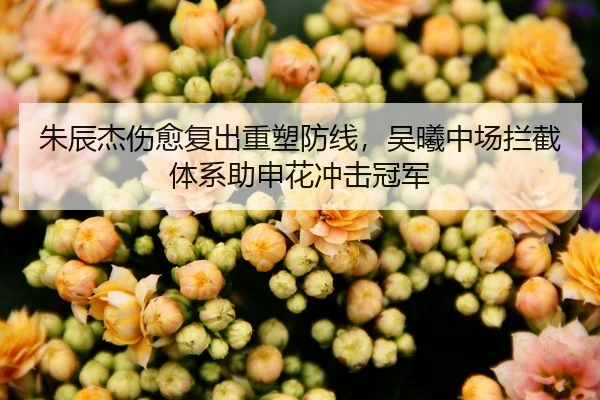 朱辰杰伤愈复出重塑防线，吴曦中场拦截体系助申花冲击冠军