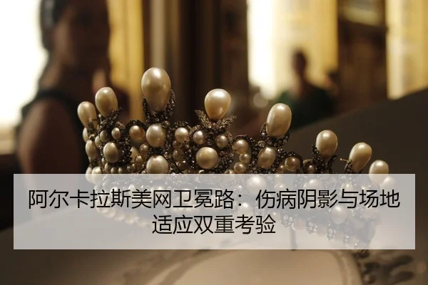 a-er-ka-la-si-mei-wang-wei-mian-lu-shang-bing-yin-ying-yu-chang-di-shi-ying-shuang-chong-kao-yan-2-134.jpg