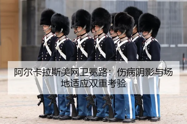 a-er-ka-la-si-mei-wang-wei-mian-lu-shang-bing-yin-ying-yu-chang-di-shi-ying-shuang-chong-kao-yan-3-374.jpg