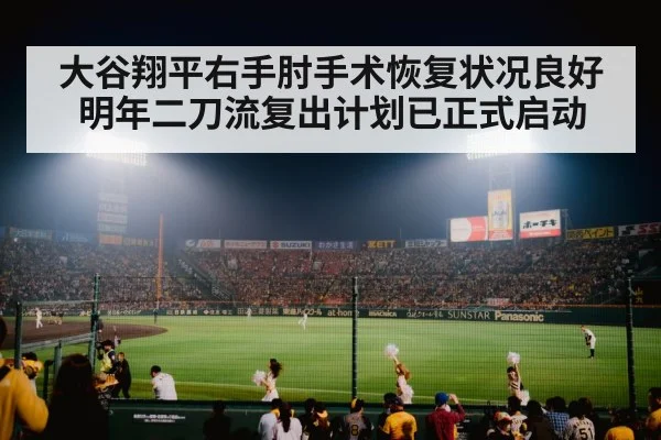 baseball stadium lights